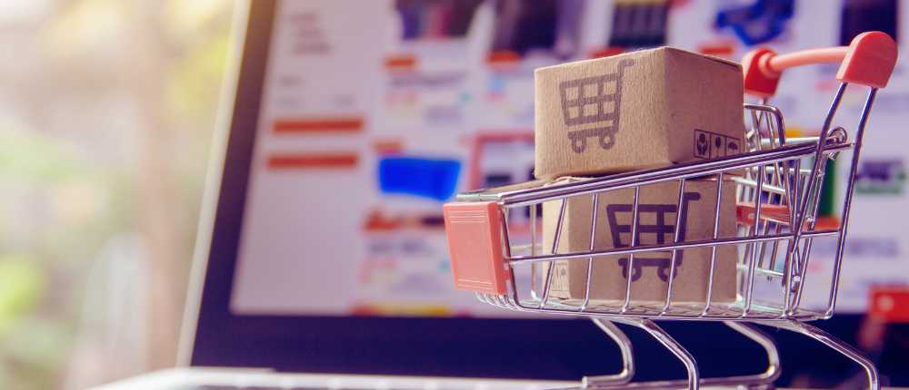 Mastering-Wordpress-Plugins (1000 x 430 px)