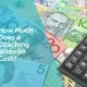 How much does a coaching website cost